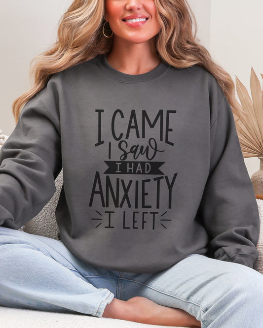 I Came I Saw I Had Anxiety I Left Sweatshirt – Gildan Crewneck Funny Pullover