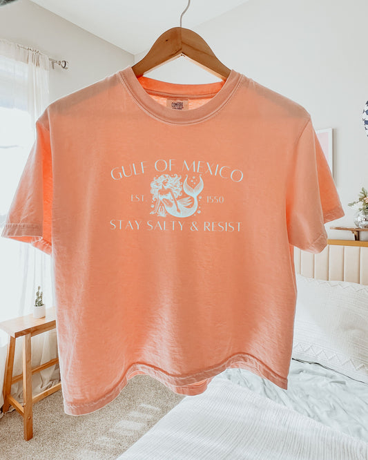 Peach-colored t-shirt with text and graphic on a hanger in a bedroom.