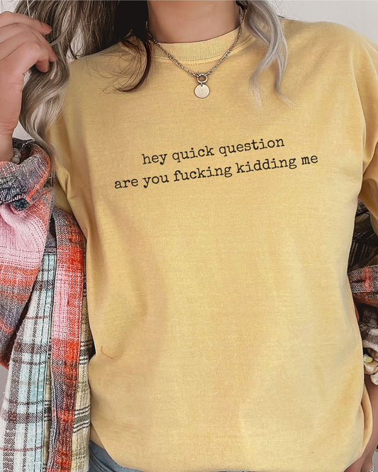 Hey Quick Question Are You Fucking Kidding Me T-Shirt – Funny Sarcastic Comfort Colors Graphic Tee